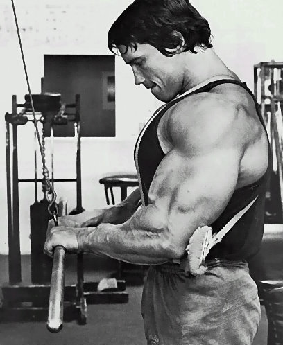 arnold-schwarzenegger-triceps-2