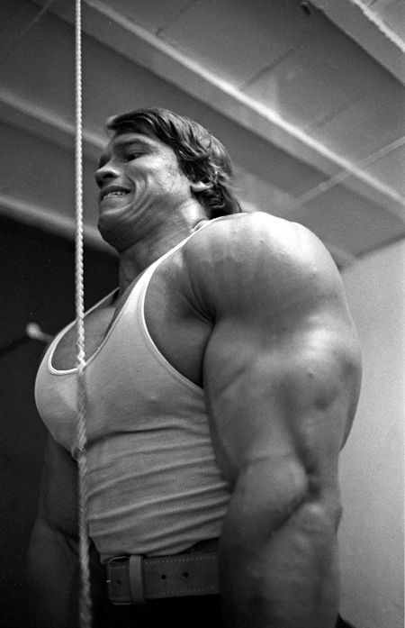 arnold-schwarzenegger-triceps