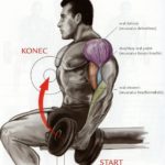 Bicepsový zdvih s jednoručkami v sede